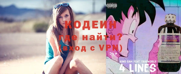 гашик Корсаков
