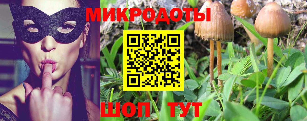 Лангепас  Галлюциногенные грибы Psilocybine cubensis  Вход с VPN 